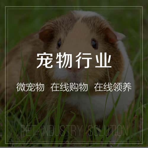 遂宁宠物
