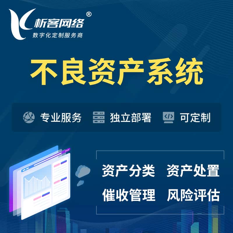 遂宁不良资产管理系统